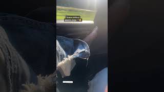 electric forest ig story in the car [upl. by Harlie790]