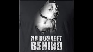 NO DOG LEFT BEHIND  BUBS [upl. by Noslen]