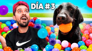 MILES DE PELOTAS EN UNA ALBERCA PARA MI PERRITA  EPISODIO 3 DE 10 [upl. by Ingeberg239]