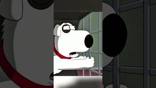 Stewie Sold Brian Into TikTok Slavery familyguy funny shorts [upl. by Bonar]