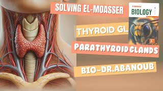 Solving El Moasser Questions on Thyroid and parathyroid glands  Biology  Senior 3 Grade 12 [upl. by Anrehs]