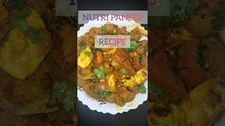 NUTRI PANEER The ProteinPacked Paneer [upl. by Cirtap182]