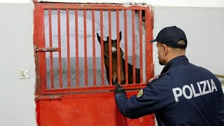 SECONDO SERVIZIO RAI SU CORSE CLANDESTINE DOPO MIA DENUNCIA [upl. by Brenda]