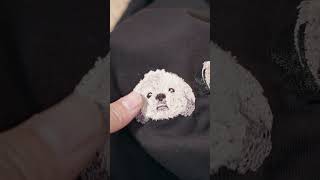 pet embroidered hoodie embroideryfashion dog customizedproduct [upl. by Airegin677]