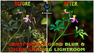 CARA FOTO MAKRO DENGAN HP amp MERUBAH BACKGROUND BLUR lightroom photoroom lensdistortions [upl. by Atterahs542]