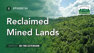 Reclaimed Mined Lands  From the Woods Today  Episode 94 [upl. by Tapes]