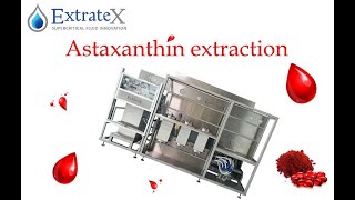 Astaxanthin supercritical extraction  by EXTRATEX [upl. by Danella498]