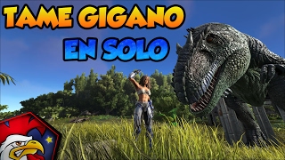 TUTO ARK PC XBOX PS4 46  Taming du Gigano en solo [upl. by Tselec599]