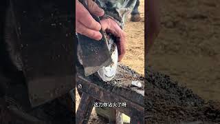 Wonderful Donkey Hoof Trimming Video shorts hoof [upl. by Maryellen904]