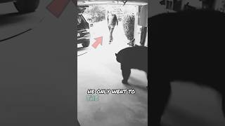 Bear suprised Policeman in his garage shorts animals grizzlybear [upl. by Derwood32]