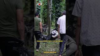 Arecanut Tree Climbing Bike  Arecanut Tree Climber Machine [upl. by Dunston]