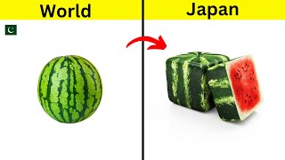 10 Weird Things That Only Exist In Japan [upl. by Snapp857]