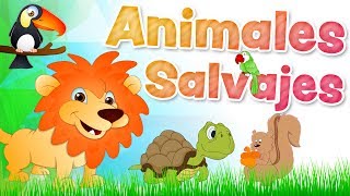 Los ANIMALES SALVAJES en español para niños con sonidos [upl. by Goldsmith]