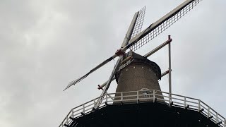 Molen de nijverheid [upl. by Danell]