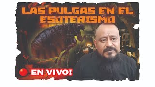 LAS PULGAS EN EL ESOTERISMO  ESOTERISMO AYUDA ESPIRITUAL [upl. by Inaoj]