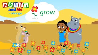 Episode 25 Akili and the flowers  Full Episode of Akili and Me  Learning videos for toddlers [upl. by Ammeg858]