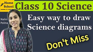 Easy way to draw science diagrams Class 10 [upl. by Nicholle129]