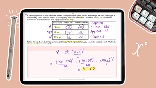 Hardy Weinberg  Chi Square Question of the Day [upl. by Chev]