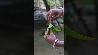 Mango leaf Tricks 💯🤯 shorts [upl. by Pontias]