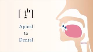 t̪ʰ  unvoiced aspirated apical dental stop [upl. by Hugibert]