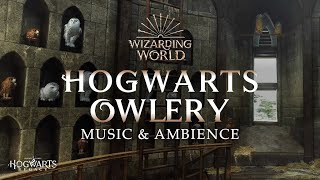 Harry Potter  Hogwarts Owlery Music amp Ambience Peaceful and Relaxing Scenes with DayNight Cycle 🦉 [upl. by Annaujat]