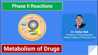 Biotransformation of Drugs ll Phase II Reactions ll Part II [upl. by Trella959]