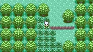 Pokémon Emerald Walkthrough Part 2 Towards Petalburg City [upl. by Malliw]