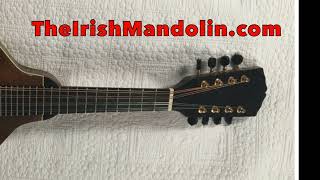 Gan Ainm 37  a jig in B Minor tabbed for mandolin and played by Aidan Crossey [upl. by Ash]