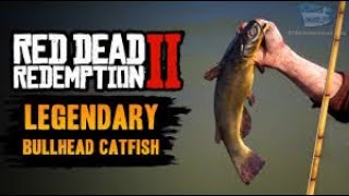 Red Dead Redemption 2 Legendary Bullhead Catfish [upl. by Anahsahs147]