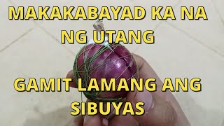 PAMPASWERTE SA PERA PARA MAKAKABAYAD NA NG MGA UTANG GAMIT LAMANG ANG SIBUYAS  PAMPASWERTE TIPS [upl. by Aloise]