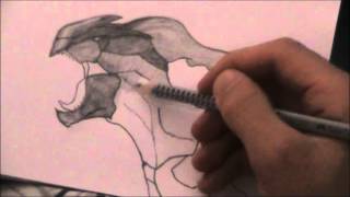 Zekrom Vs Reshiram Speed Drawing Part 1 Zekrom [upl. by Aara]