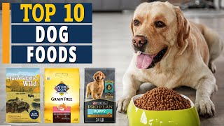 Top 10 Dog Foods in 2022  Which Ones are The Best 🐶 ✅ [upl. by Tereb]