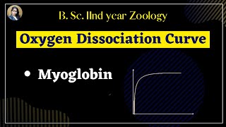 Oxygen dissociation curve of myoglobin II B Sc IInd year II Zoology [upl. by Okim132]