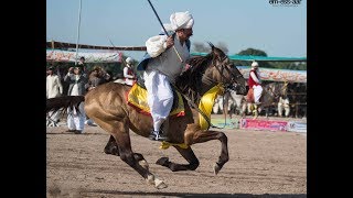 Prince Malik Atta Muhammad Khan Neza Bazi Top Rider of Pakistan in Tent Pegging Kot FatehKhan Mela [upl. by Ennaimaj715]