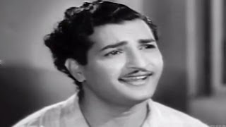 Missamma Movie  Kaavalante Istaale Video Song  NTR ANR SVR Savitri Jamuna [upl. by Squier319]