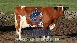 The Vancouver Canucks Professional Hockeys Lolcow [upl. by Gnod262]