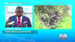 Le FDLR annonce la fin de sa lutte armée [upl. by Allicirp]