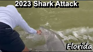 Shark Grabs Anglers Hand Florida Shark Attack Caught on Camera [upl. by Nobell]