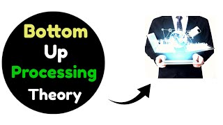 Bottom up processing theory  Approach  Definition  Bottom up vs Top down  spot psychology [upl. by Jock928]