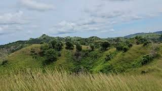 53 hectares ideal for ECOTOURISM at Buenavista Bohol Philippines [upl. by Lebar]