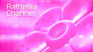 RAFFLESIA CHANNEL [upl. by Klockau]