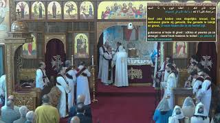 Live Stream Heilige Maria Kathedraal te Amsterdam [upl. by Eaned]