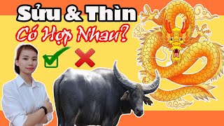 💓 Tuổi Sửu và Tuổi Thìn Có Hợp Tuổi Nhau Không [upl. by Kegan302]