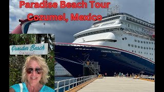 Paradise Beach Tour Cozumel Mexico [upl. by Felicity560]