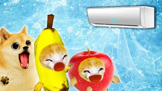 Air Conditioner Madness Banana Cats Frosty Fiasco 🐱 Baby Banana Cat Compilation  Cat MEME 😿 [upl. by Kieran]