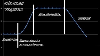 Curva de Crecimiento Microbiano [upl. by Andi223]