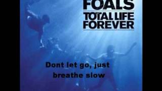 Foals  2 Trees Album Version  With Lyrics [upl. by Ettenel]