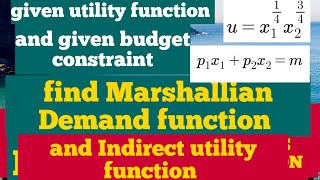 Marshallian Demand function and Indirect Utility function [upl. by Goddard482]