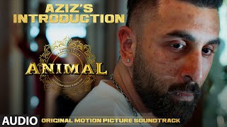 ANIMAL BGM AZIZS INTRODUCTION  Harshavardhan R  Ranbir K Sandeep V Bhushan K [upl. by Kerril69]