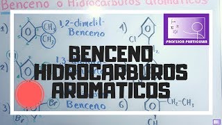 Nomenclatura benceno o hidrocarburos aromáticos  Química Orgánica [upl. by Cilegna683]